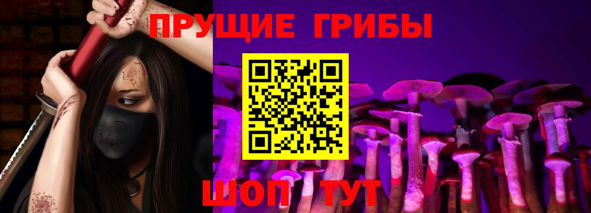 Галлюциногенные грибы Psilocybe Долгопрудный